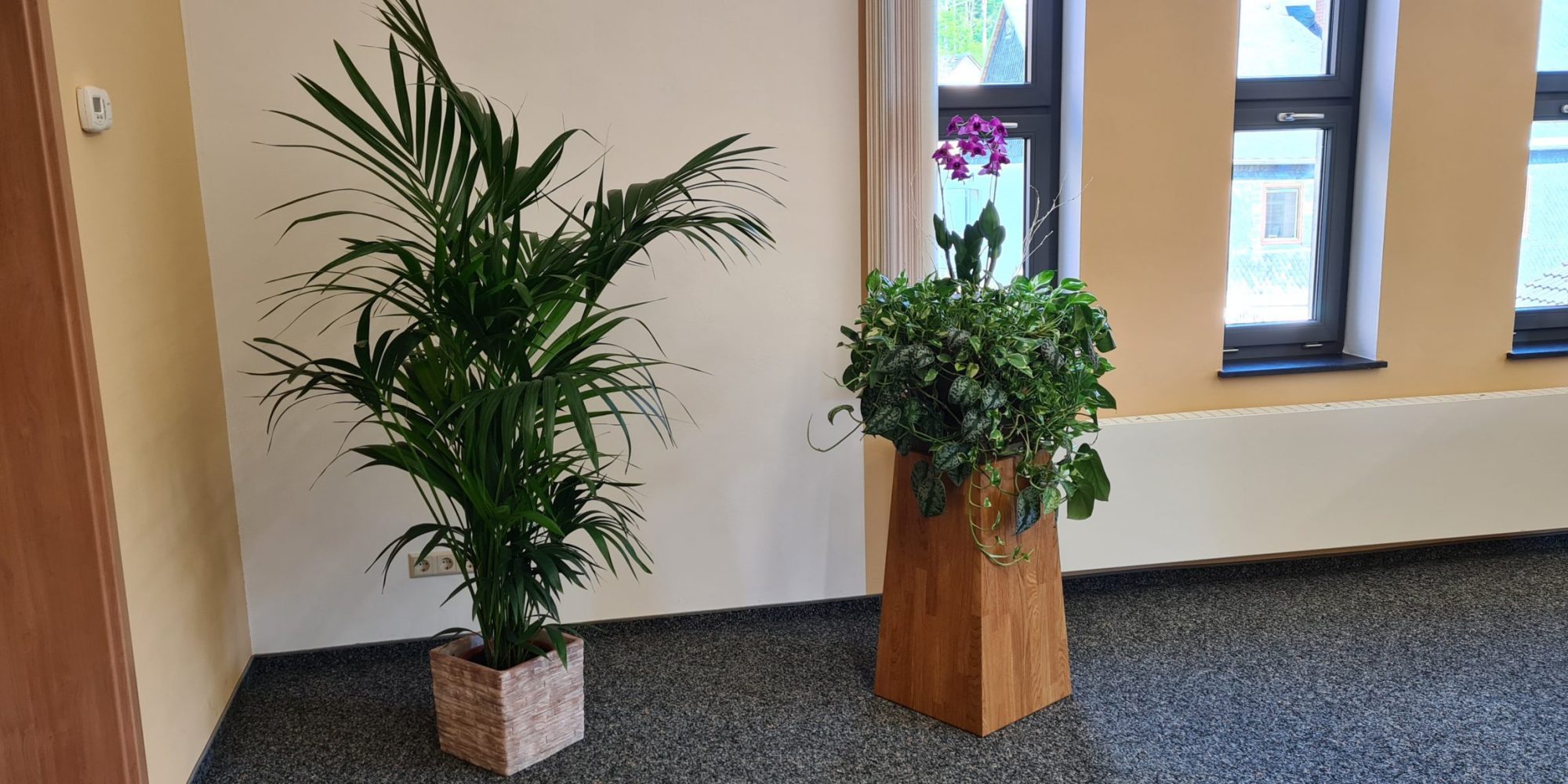 Pflanzen im Saal